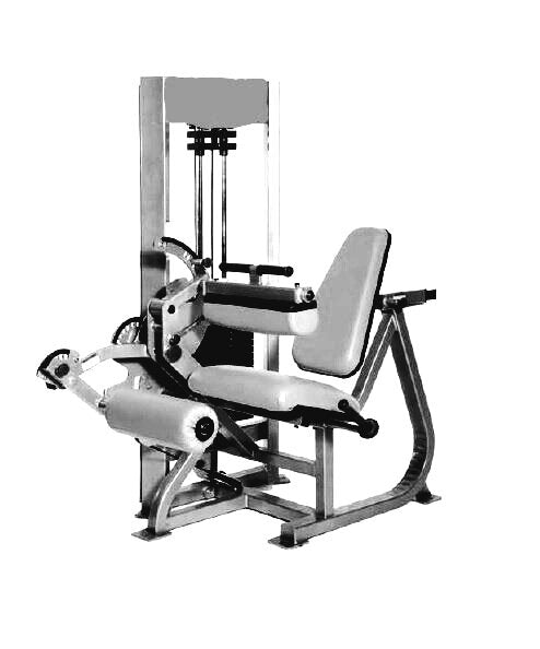 ⭐Special Order⭐ CF Seated Leg Curl / Leg Extension Selectorized Combo